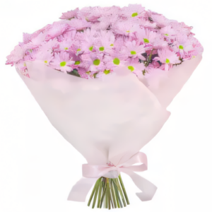 Bukiet różowych Margerytek