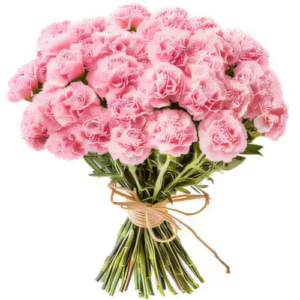 Różowe goździki 11