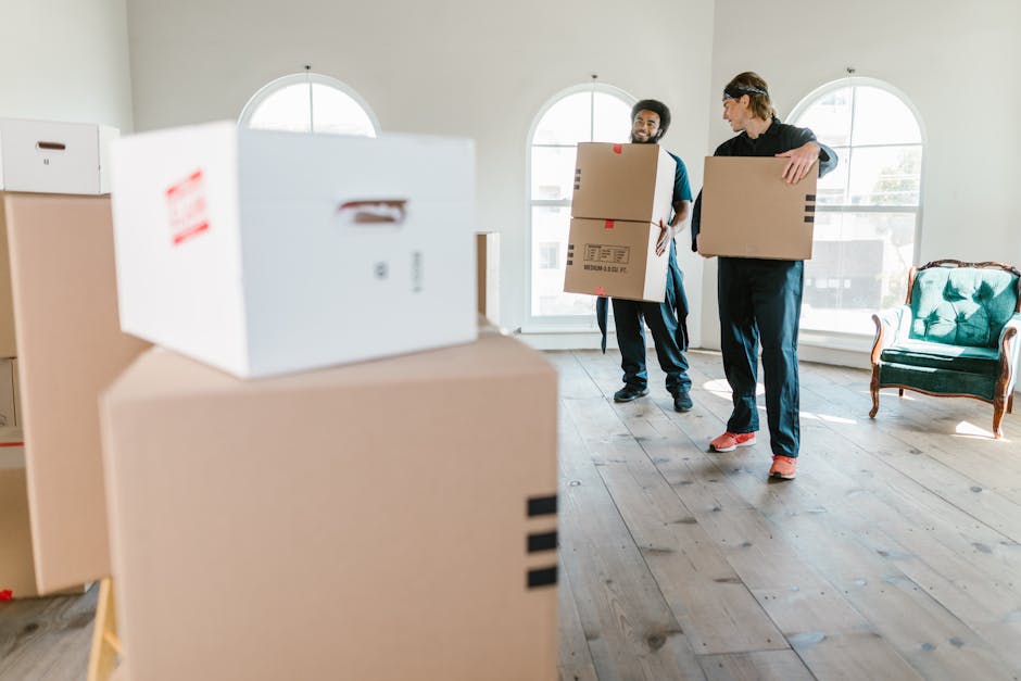 chicago domestic removal services